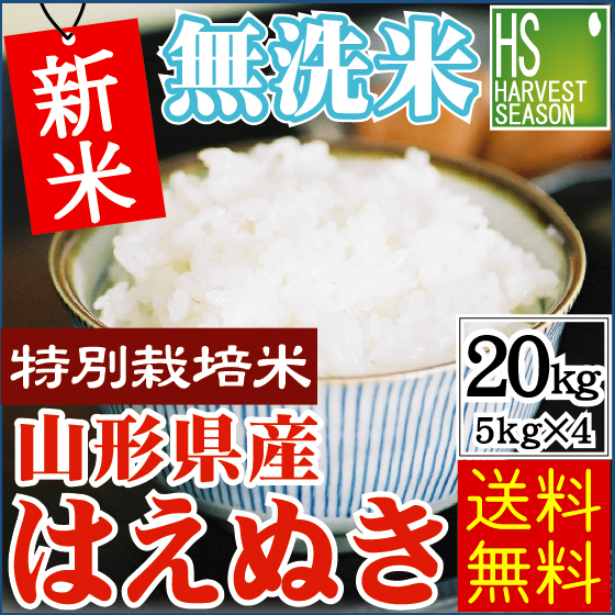 はえぬき　20kg 新米　令和6年　山形　特別栽培米 はえぬき20kg 新米令和6年山形特別栽培米（u65b0u7c73