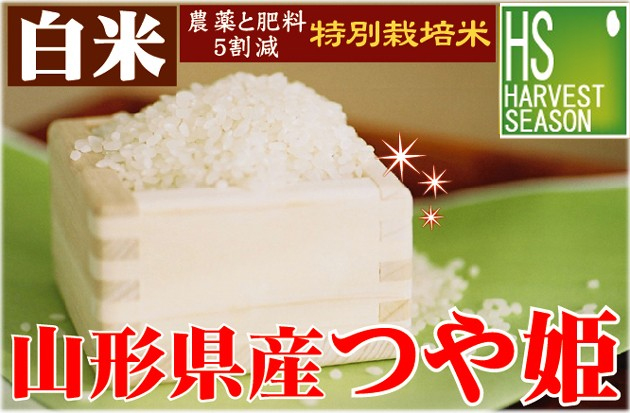 令和7年産 白米 特別栽培米 山形県産つや姫10kg(5kg×2)  【送料無料 [翌日配送]/北海道沖縄は別途送料760円】_1