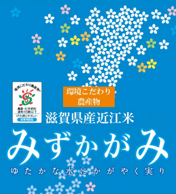 令和7年産 無洗米 滋賀県産 みずかがみ 10kg(5kg×2袋)  [翌日配送] 送料無料 /北海道沖縄へは別途送料760円_1