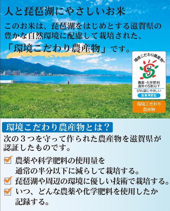 令和7年産 無洗米 滋賀県産 みずかがみ 10kg(5kg×2袋)  [翌日配送] 送料無料 /北海道沖縄へは別途送料760円_2