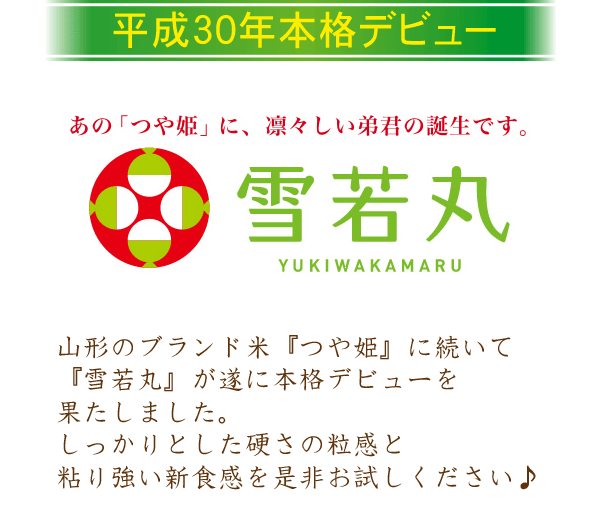 無洗米 山形県産 雪若丸 ゆきわかまる 10kg 5kg 2 令和2年産 送料無料 北海道沖縄は別途送料760円 の通販はau Pay マーケット 美味しいお米はハーベストシーズン