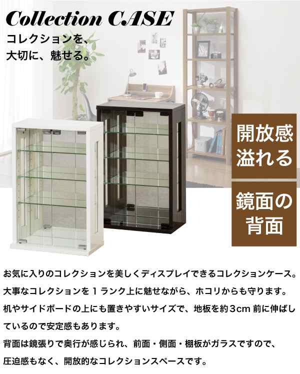 送料無料 卓上 背面ミラー コレクションケース 縦型 ガラス扉 メーカー