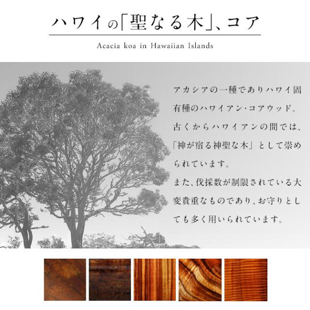 ハワイアンジュエリー コアウッド ピアス モンステラ コアウッド シルバー925 ロジウムコーティング キャッチ aumakua 20G ゲージ メンズ レディース 誕生日 プレゼント 母の日 【品番：042-62-01】_2