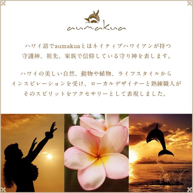 ハワイアンジュエリー コアウッド ピアス モンステラ コアウッド シルバー925 ロジウムコーティング キャッチ aumakua 20G ゲージ メンズ レディース 誕生日 プレゼント 母の日 【品番：042-62-01】_1