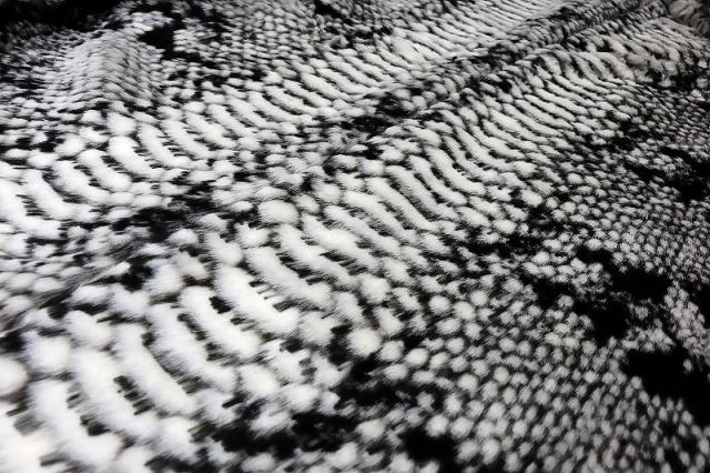 蛇柄ファー ハーフ丈コート 白×黒 服 オラオラ系 悪羅悪羅系 ヤクザ