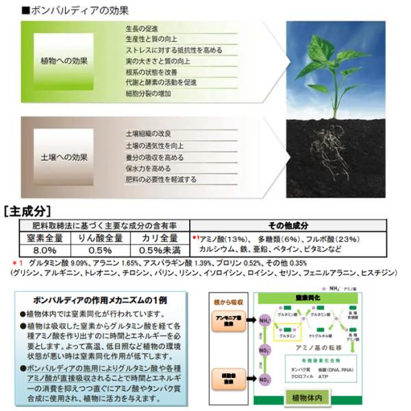ハイポネックス　有機活力液肥　ボンバルディア　20L