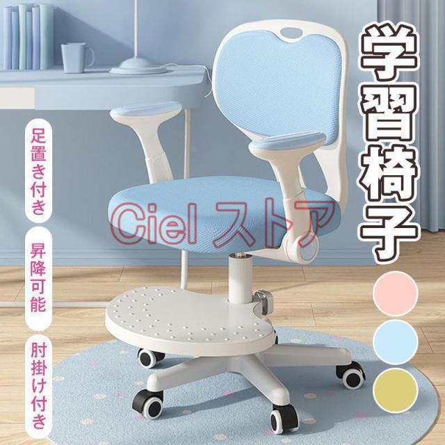 4月入荷 100粒+ リビストナ デコラ 種子 種 証明書あり2802 商品一覧