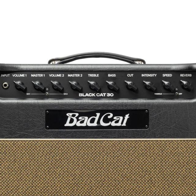 Bad Cat Mod Shop Black Cat 30 Combo（バッドキャット） 【数量限定「真っ黒」Tシャツプレゼント！】_4