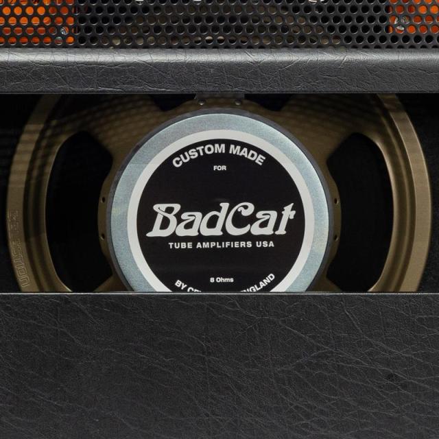 Bad Cat Mod Shop Black Cat 30 Combo（バッドキャット） 【数量限定「真っ黒」Tシャツプレゼント！】_6