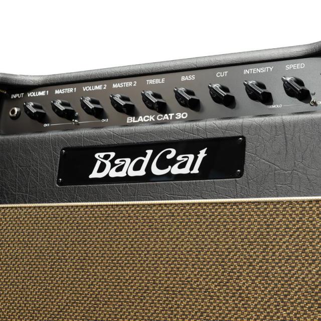 Bad Cat Mod Shop Black Cat 30 Combo（バッドキャット） 【数量限定「真っ黒」Tシャツプレゼント！】_8