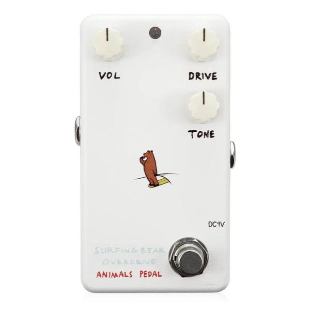 Animals Pedal Surfing Bear Overdrive