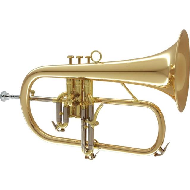 CAROL BRASS キャロルブラス / N6200 GB 【Bb フリューゲル ホルン】【出荷前調整で安心】