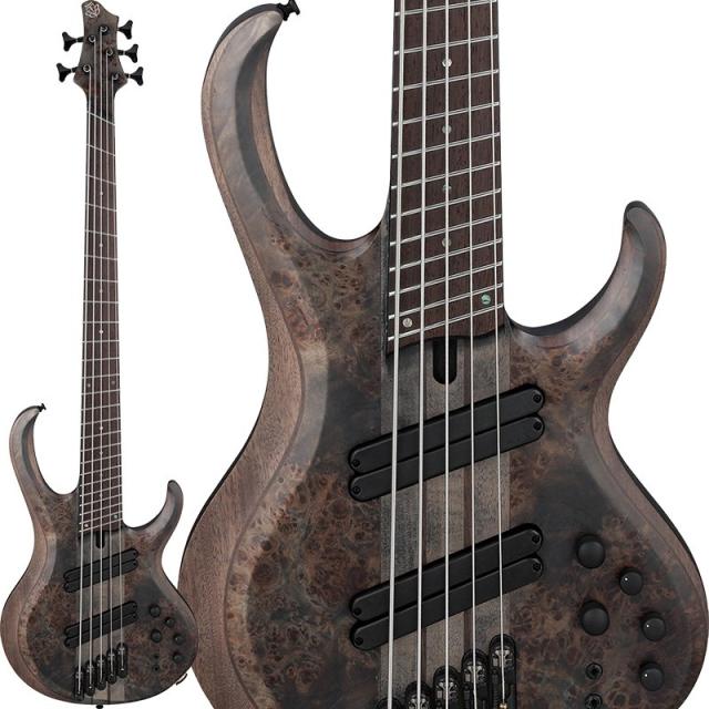 Ibanez Bass Workshop BTB805MS-TGF 【値上げ前旧価格品】の通販は