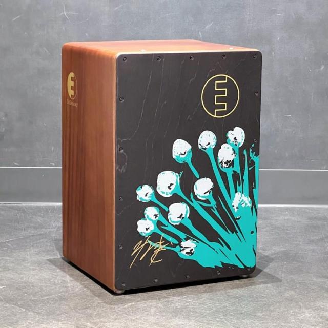 DG USED 中古品 CUSTOM TOKAYO DELUXE NEGI [本人直筆サイン入り]【限定品】