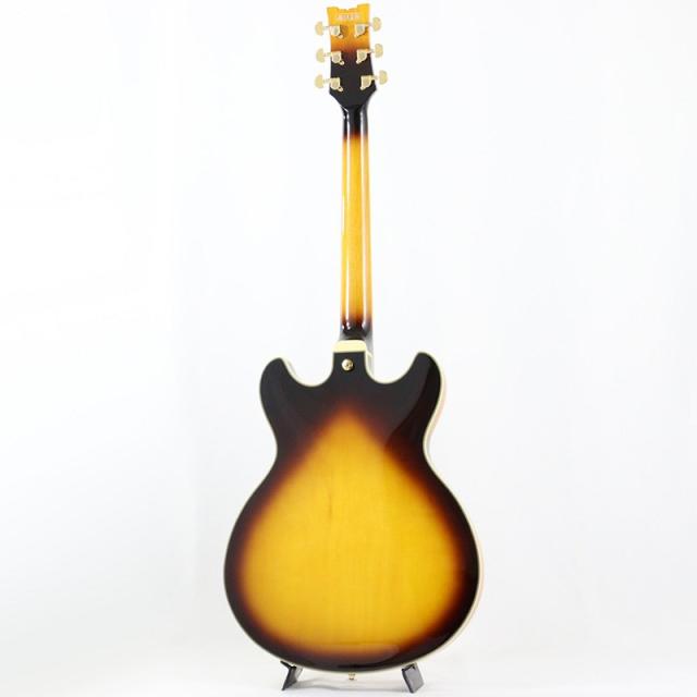 Ibanez JSM10EM-TTB (Two-tone Burst) [John Scofield Model / SPOT MODEL]_2