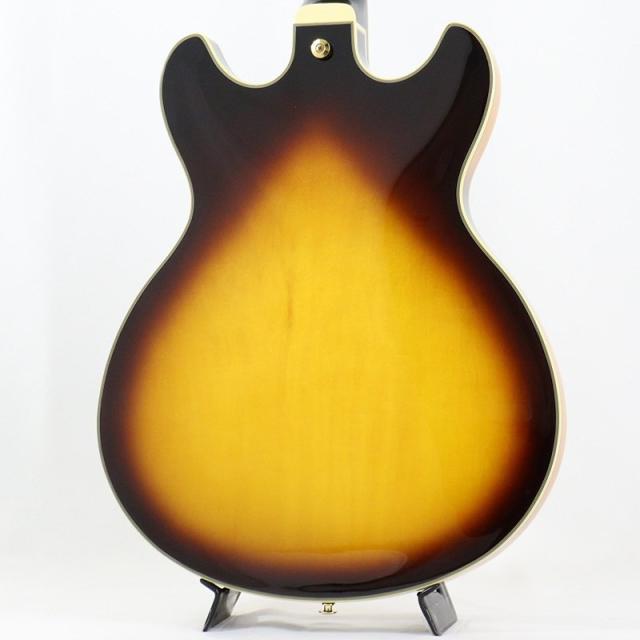 Ibanez JSM10EM-TTB (Two-tone Burst) [John Scofield Model / SPOT MODEL]_3