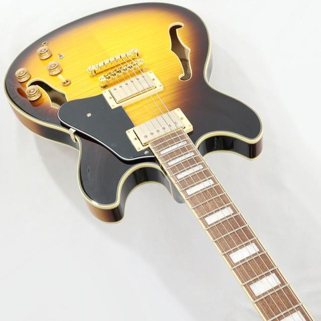 Ibanez JSM10EM-TTB (Two-tone Burst) [John Scofield Model / SPOT MODEL]_4