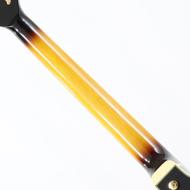 Ibanez JSM10EM-TTB (Two-tone Burst) [John Scofield Model / SPOT MODEL]_6