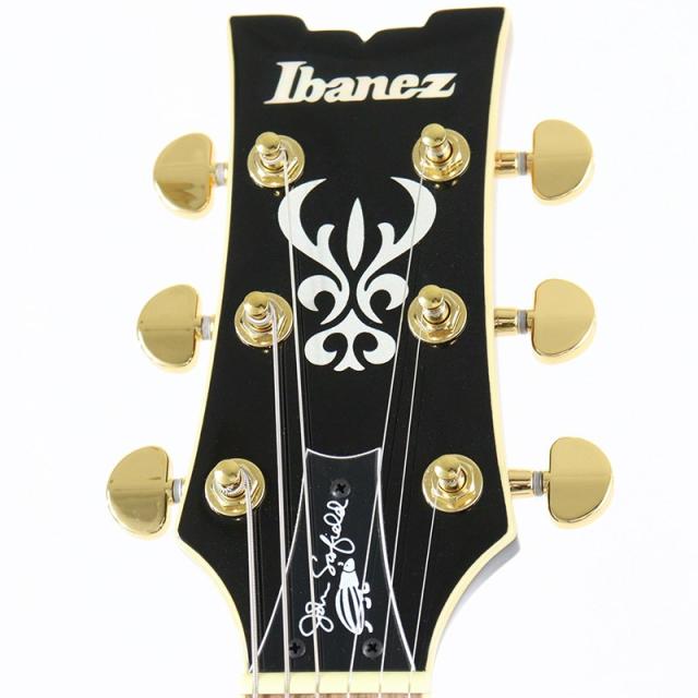 Ibanez JSM10EM-TTB (Two-tone Burst) [John Scofield Model / SPOT MODEL]_7
