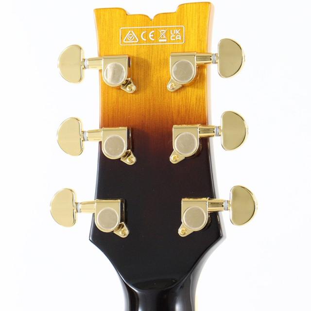 Ibanez JSM10EM-TTB (Two-tone Burst) [John Scofield Model / SPOT MODEL]_8