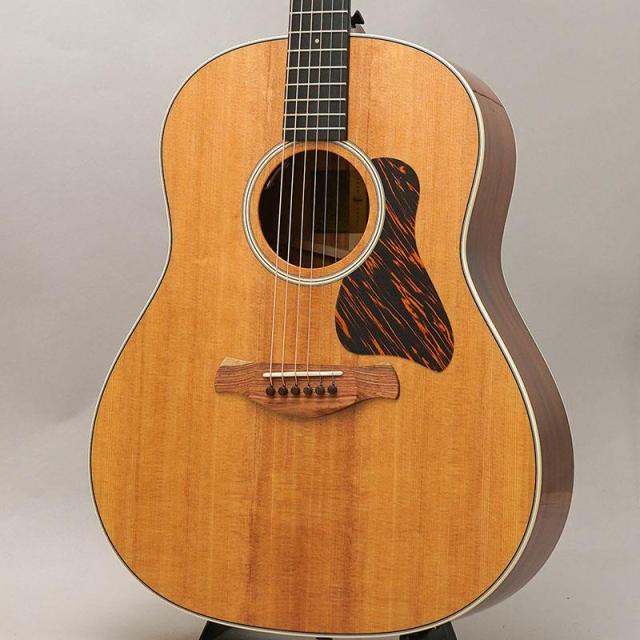 TAYLOR Gold Label 517e テイラー