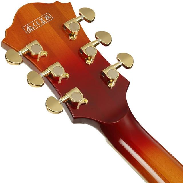 Ibanez ARTSTAR AF115-AWB (Aged Whiskey Burst)_5