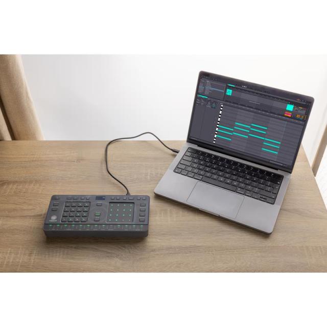 AlphaTheta TORAIZ CHORDCAT （コードキャット）