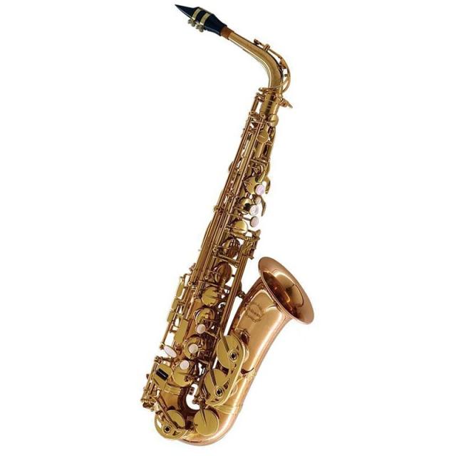 Chateau アルトサックス シャトー CAS-H92L 【調整&セットアップ