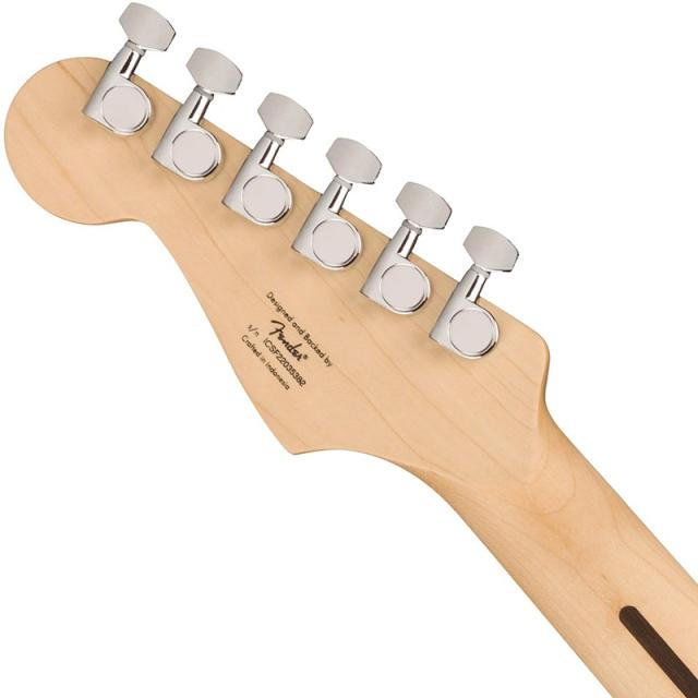 Squier by Fender Squier Sonic Stratocaster (Black/Maple Fingerboard)_5