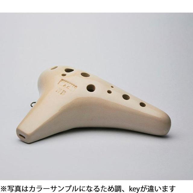 ZO EU-08 プラスチックユーフォニアム シャンパンゴールド プラ管