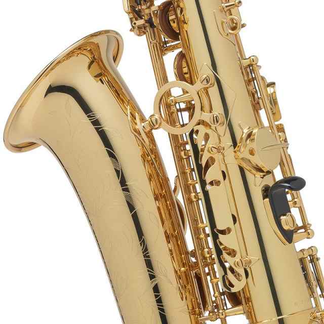 Selmer Paris 【WBオリジナルコンボ!!】アルトサックス セルマー Selmer Paris 【WBオリジナルコンボ!!】アルトサックス セルマー