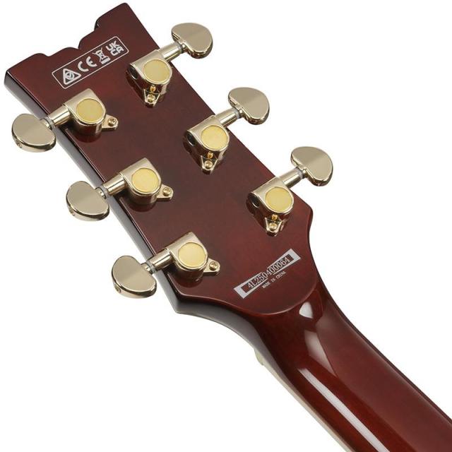 Ibanez AR320-MBM (Midnight Black Metallic) [SPOT MODEL]_5