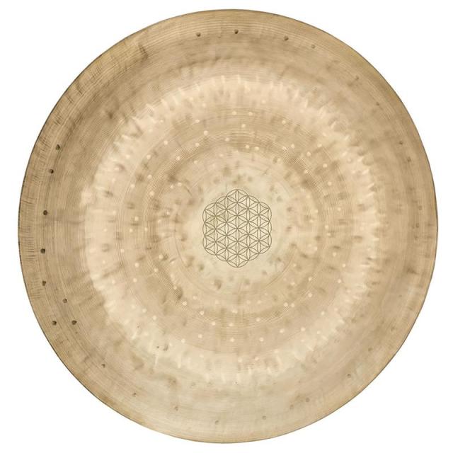 MEINL WGFOL12 [Wind Gongs Flower Of Life 12’’]