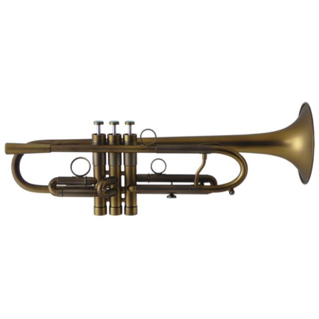 トランペット本体とケース、付属品付き Brasspire ブラスパイア / 916 2b-1b CUSTOM MODEL DML 【Bb