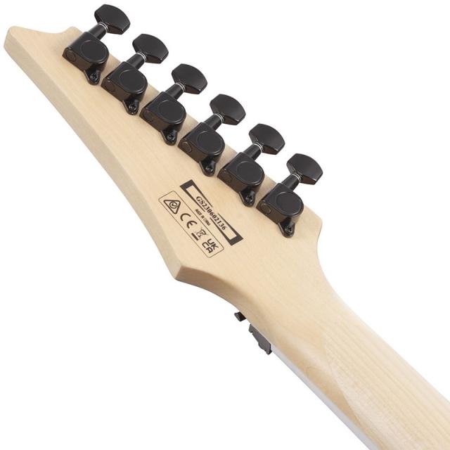 Ibanez GRG320FA-TBS_5