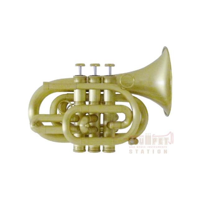 CAROL BRASS キャロルブラス / N3000 ALL-SATIN 【Bb ポケット トランペット 】【出荷前調整で安心】 82,280円