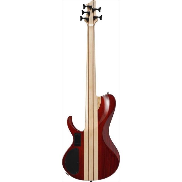 GUITAR LIFE -LESSON1- ギターライフ HEADWAY ヘッドウェイ Japan Tune-up Series HTJ-SAKURA SKPN