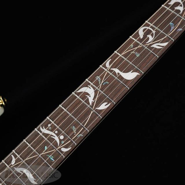 Ibanez PIA3761-SLW [Paradise in Art Steve Vai new signature model]_5