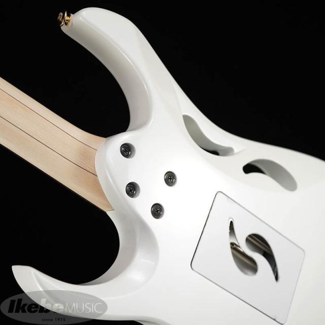 Ibanez PIA3761-SLW [Paradise in Art Steve Vai new signature model]_9