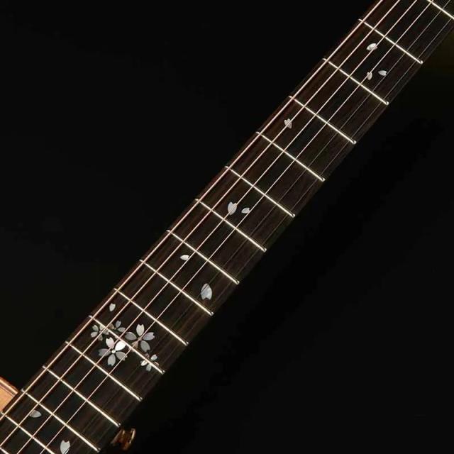 Headway HF-KOBOREZAKURA ヘッドウェイ_6