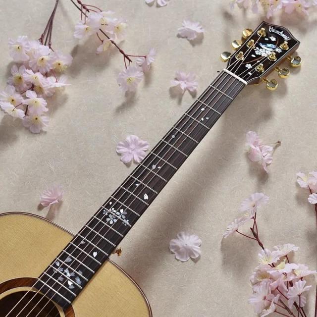 Headway HF-KOBOREZAKURA ヘッドウェイ_9