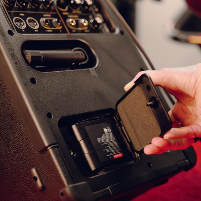 Positive Grid Spark Battery