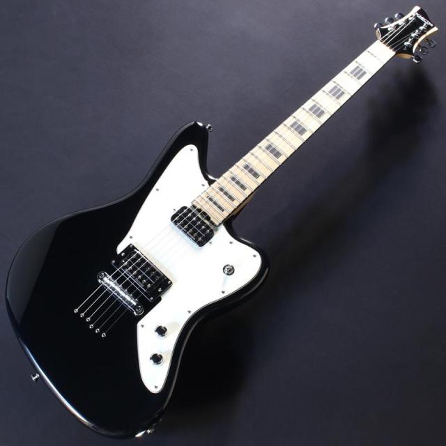 SCHECTER PA-SW/KA 【Progauge Artist Model SHADOWS KAZUKI】_1