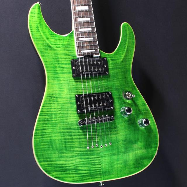 SCHECTER PA-SW/TH 【Proguage Artist Model SHADOWS TAKAHIRO】