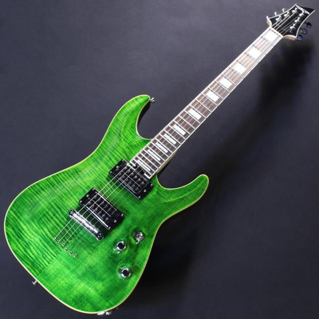 SCHECTER PA-SW/TH 【Proguage Artist Model SHADOWS TAKAHIRO】_1