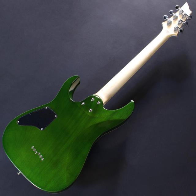 SCHECTER PA-SW/TH 【Proguage Artist Model SHADOWS TAKAHIRO】_5