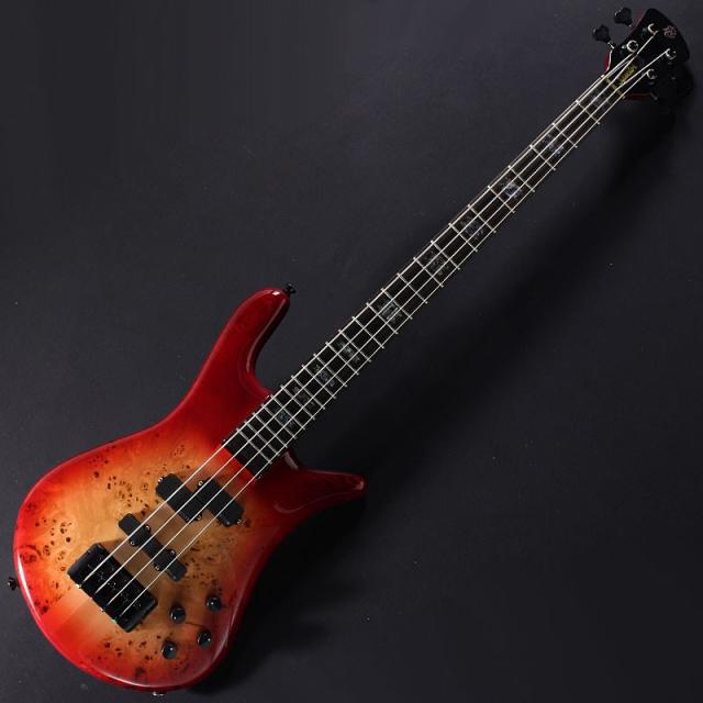 SPECTOR EURO 4 CST (Natural Red Burst Gloss) 【特価】の通販は