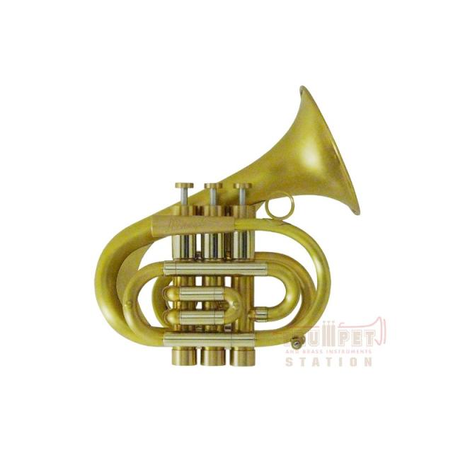YAMAHA TR-VIZZUTTI トランペットマウスピース ヴィズッティ YAMAHA ヤマハ TR-VIZZUTTI-GP アレンヴィズッティ カスタム