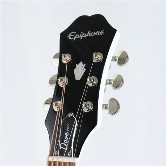 Epiphone 【数量限定エピフォン・アクセサリーパックプレゼント】 Dove Studio Limited Edition Alpine White エピフォン
