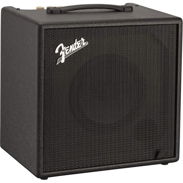 Fender USA Rumble LT25_2